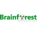 Brainforest logo